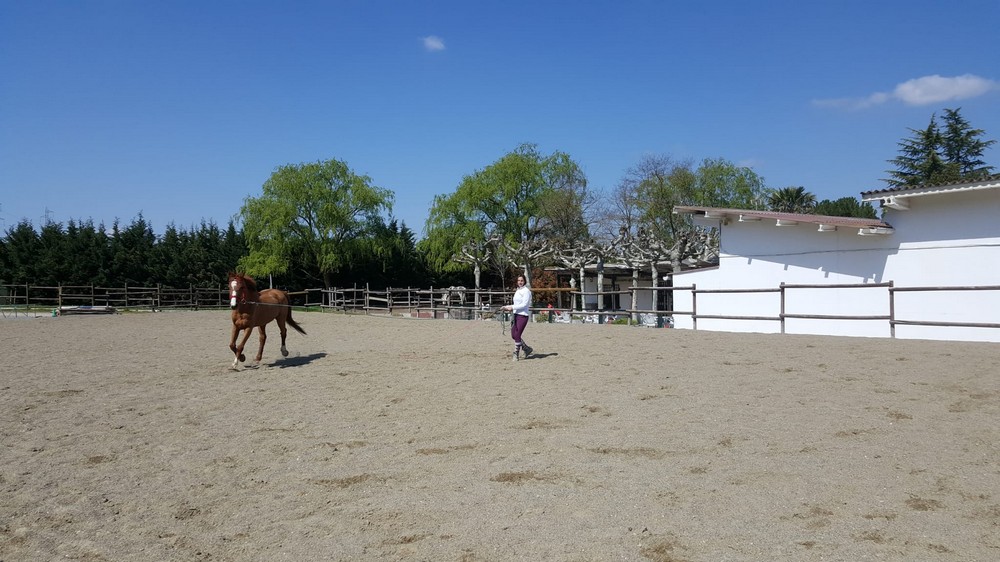 #yoentrenoencasa con Marina Zapata